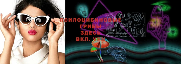 стаф Дмитров