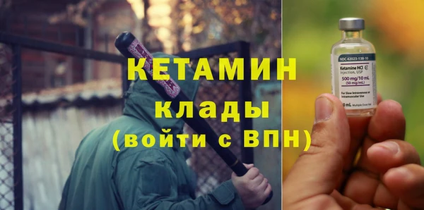 стаф Дмитров