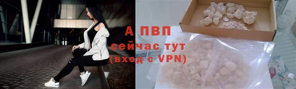 гашик Гусев