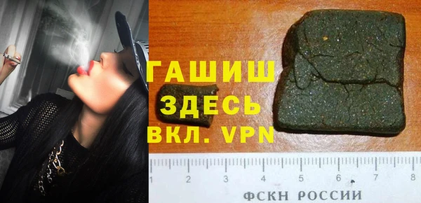 стаф Дмитров