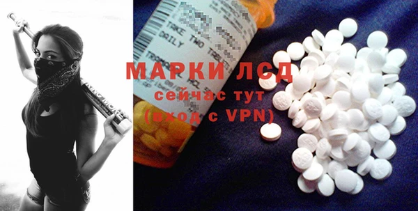 стаф Дмитров