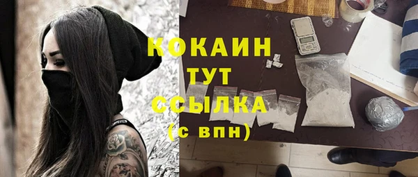 стаф Дмитров