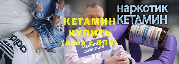 стаф Дмитров
