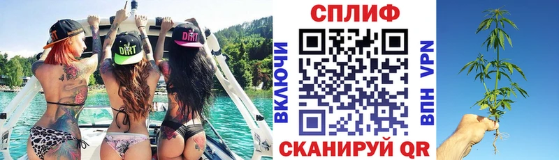 Бошки марихуана MAZAR Купить где Магас
